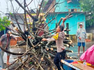Tutupi Akses Jalan Desa, Bhabinkamtibmas dan Warga Gotong-Royong Evakuasi Pohon Tumbang