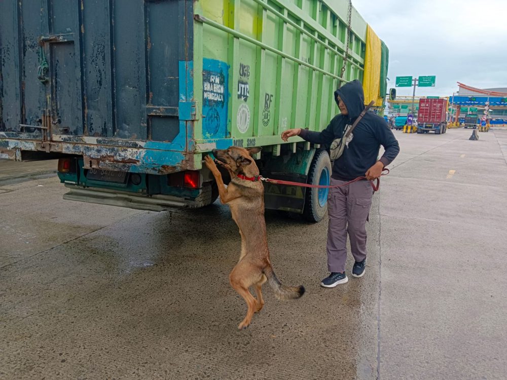 Anjing K9 Bantu Ungkap Peredaran Narkoba di Pelabuhan Bakauheni
