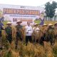 Beginilah Panen Perdana WBA Lapas Kelas’ I Cirebon Dalam Wujudkan Ketahanan Pangan
